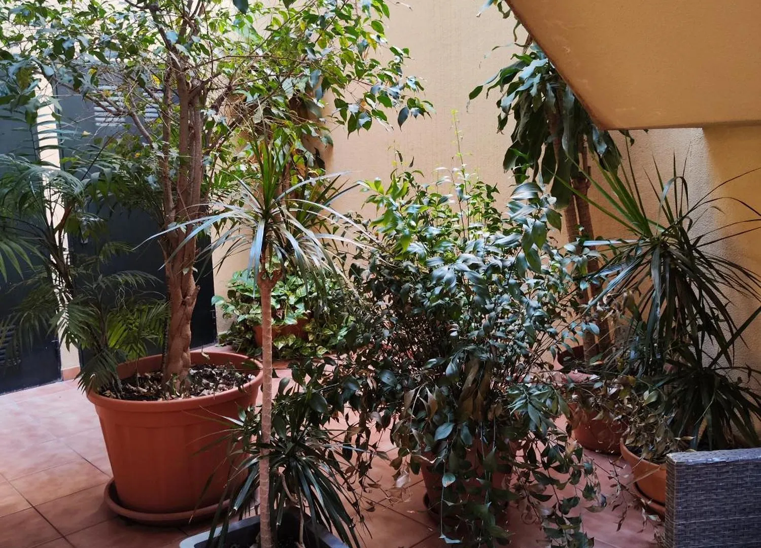 Malaga Experience Apartamento