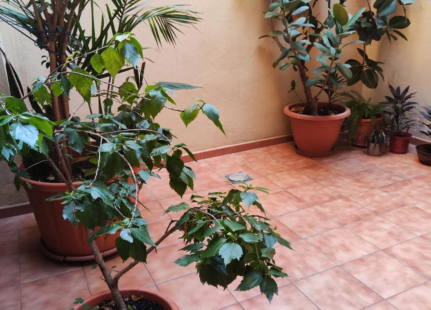 Malaga Experience Apartamento Espanha